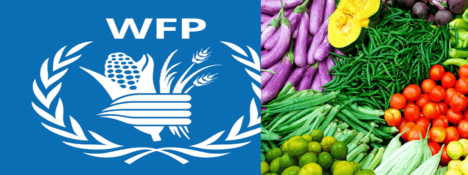 මෙරට පවුල් 58%ක් ණයට ආහාර ගන්නා බවට හෙළිදරව්වක්..
